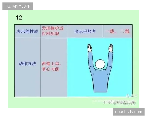 如何准确判定持球五秒违例？看懂违例时机与裁判手势